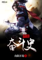 小说：明朝奋斗史，作者：向阳开花
