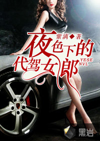 小说：夜色下的代驾女郎，作者：紫漓