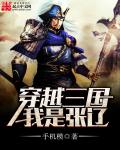 小说：穿越三国我是张辽，作者：手机模