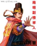 小说：南明副榜举人，作者：东方寡民