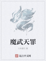 小说：魔武天罪，作者：心如磐石