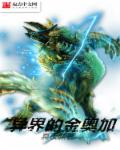 小说：异界的金奥加，作者：冥夜渊