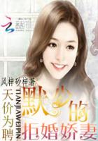 小说：天价为聘：默少的拒婚娇妻，作者：风梓砂梓