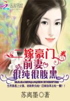 二嫁豪门:前妻很纯很腹黑