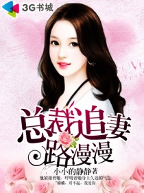 小说：总裁追妻路漫漫，作者：小小的静静