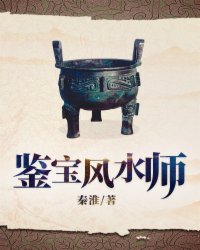 小说：鉴宝风水师，作者：秦淮