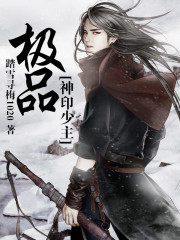 小说：极品神印少主，作者：踏雪寻梅1020