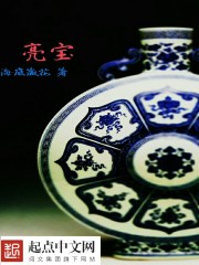 小说：亮宝，作者：海底藏花