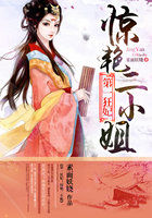 小说：第一狂妃：惊艳二小姐，作者：素面妖娆