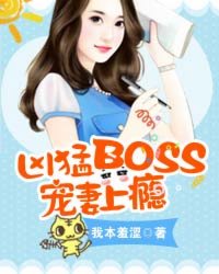 小说：凶猛BOSS宠妻上瘾，作者：我本羞涩