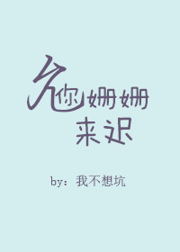 小说：允你姗姗来迟，作者：我不想坑