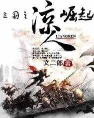 小说：三国之凉人崛起，作者：文二郎