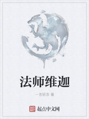 小说：法师维迦，作者：一言轻念