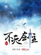小说：不灭剑主，作者：飞燕