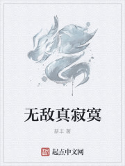 小说：无敌真寂寞，作者：新丰