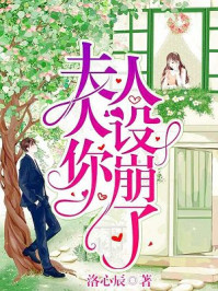 小说：夫人你人设崩了，作者：洛心辰
