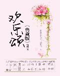 小说：欢乐颂，作者：阿耐