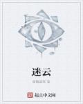 小说：迷云，作者：剑飘傲雪