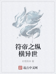 小说：符帝之纵横异世，作者：好想简单