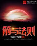 小说：箭与法则，作者：我是小粗腿