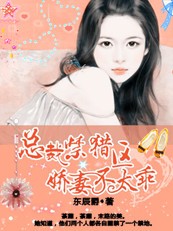 小说：总裁禁猎区：娇妻不太乖，作者：东辰爵