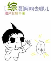 小说：[综]阿响去哪儿，作者：遗风忆醉