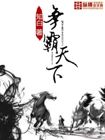 小说：争霸天下，作者：知白