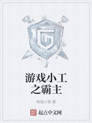 小说：游戏小工之霸主，作者：海逸小猪