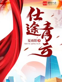 小说：仕途青云，作者：夏雨阳