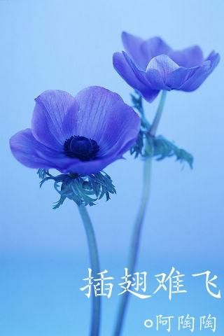 小说：插翅难飞，作者：阿陶陶