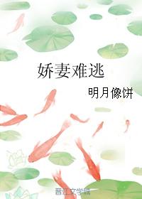 小说：娇妻难逃，作者：明月像饼