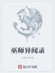 小说：巫师异闻录，作者：冰澪木偶