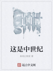小说：这是中世纪，作者：黑夜幻想家
