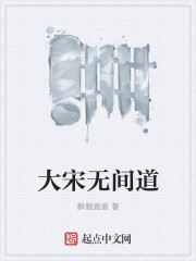 小说：大宋无间道，作者：醉眼画眉