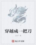 小说：穿越成一把刀，作者：长笛子