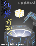 小说：纳米方程，作者：白夜暮晨