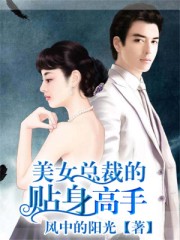 小说：美女总裁的贴身高手，作者：风中的阳光