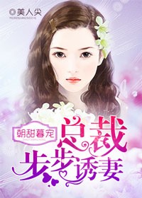 小说：朝甜暮宠，总裁步步诱妻，作者：美人尖