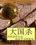 小说：大国杀，作者：末世战车