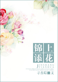 小说：锦上添花，作者：寻香踪