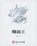 小说：嘲讽王，作者：问石