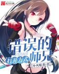 小说：打开方式错误的师兄，作者：不灭暗炎