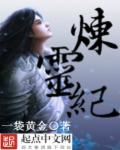 小说：炼灵纪，作者：一袋黄金