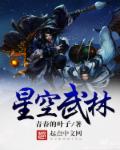 小说：星空武林，作者：青春的叶子