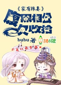 小说：家有辣妻，腹黑相公欠收拾，作者：bubu