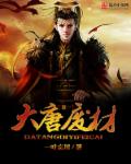 小说：大唐系统终结者，作者：一叶忘川