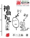 小说：神仙下凡闯三国，作者：不二上仙