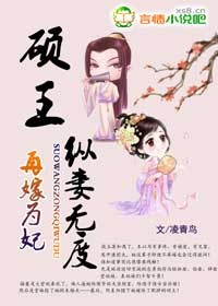 小说：再嫁为妃，硕王纵妻无度，作者：凌青鸟