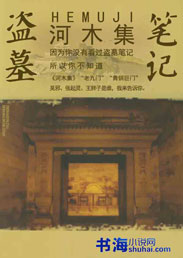 小说：盗墓笔记之河木集，作者：张家四叔.