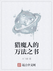 小说：猎魔人的万法之书，作者：大飞艇